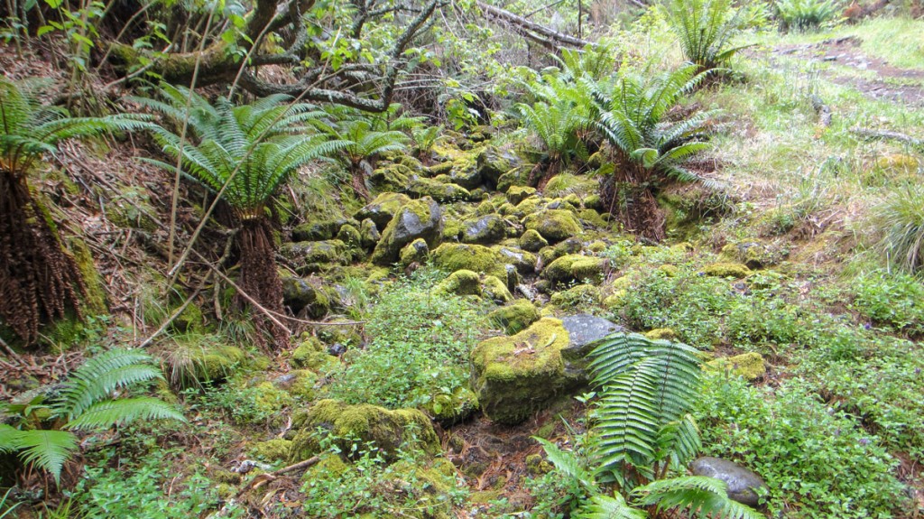We're thoroughly soaked at this point... but it's a tropical rain forest -it's like this a lot!