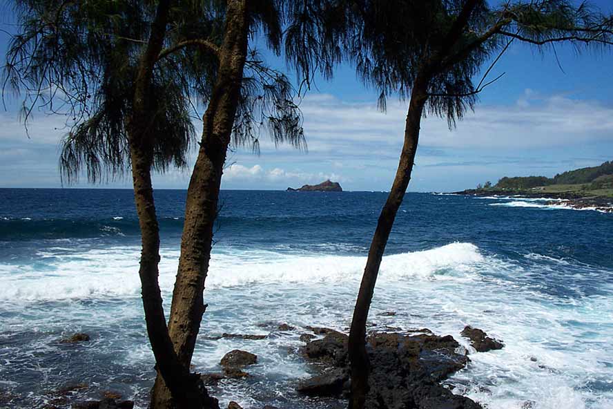 hana-view1