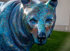 anchorage-5