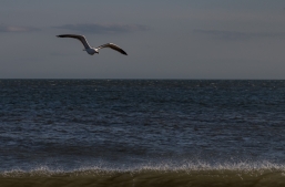 Cape-May-4-22-beach-6
