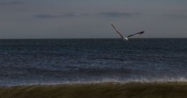Cape-May-4-22-beach-7