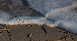 Cape-May-4-22-beach-9