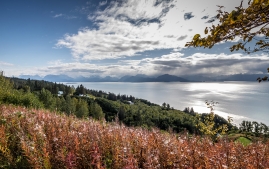 Summit-lake-to-Anchorage-17