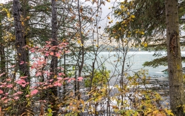 Summit-lake-to-Anchorage-22