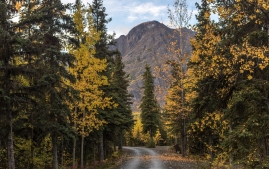 Summit-lake-to-Anchorage-56