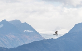 Summit-lake-to-Anchorage