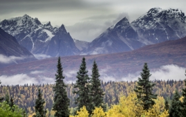 anchorage-to-denali-11