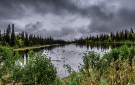 anchorage-to-denali-3
