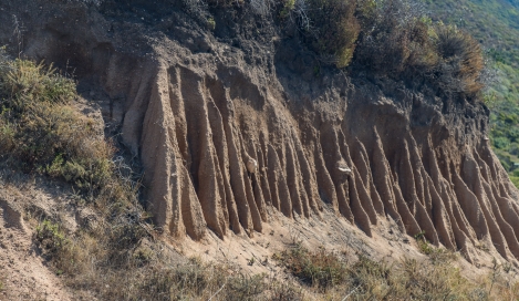 big-sur-3