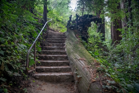 big-sur-5