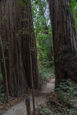 big-sur-6