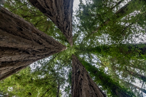 big-sur-7