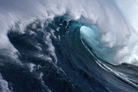 Jaws-2011-Bangerter-11