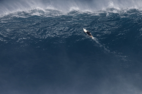 Jaws-2011-Bangerter-13