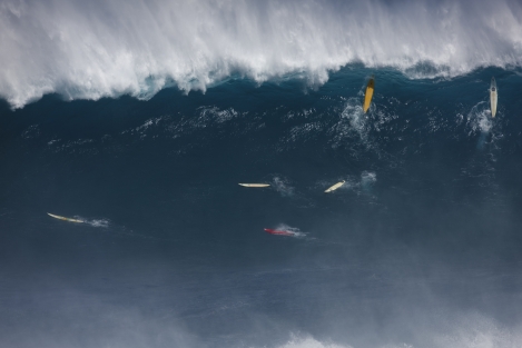 Jaws-2011-Bangerter-20