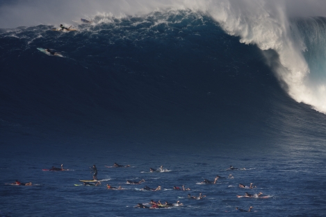 Jaws-2016-Bangerter-10