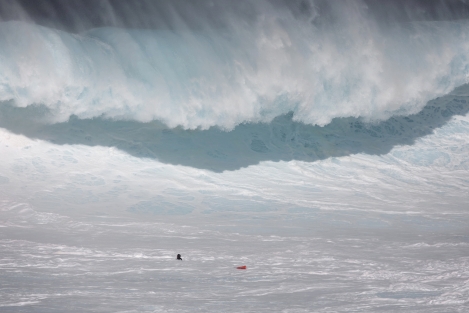 Jaws-2016-Bangerter-22