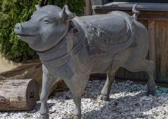 1_Cape-May-4-22-bikes-4