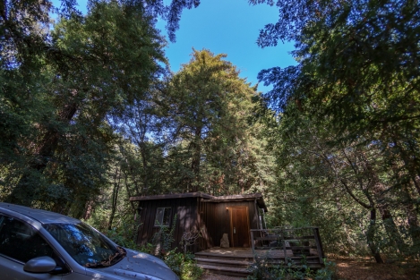 big-sur-macro-8