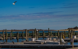 Cape-May-4-22-boatyard-12