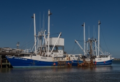 Cape-May-4-22-boatyard-16