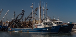 Cape-May-4-22-boatyard-2