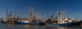 Cape-May-4-22-boatyard-3