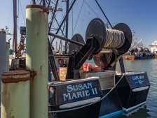 Cape-May-4-22-boatyard-4