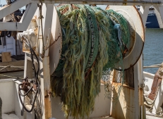 Cape-May-4-22-boatyard-7