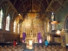 dsc00342_std