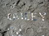 cm5-09-068_std
