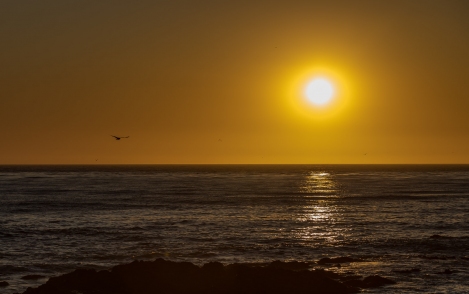 Cambria-4