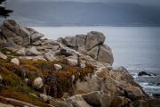 Carmel-seal rock