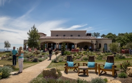Dao-Carmel-4