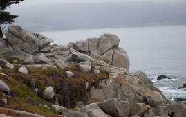 carmel