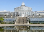 palmhouse-featured