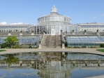palmhouse1