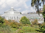 palmhouse2