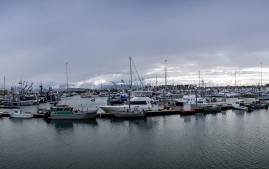 homer-harbor-pano