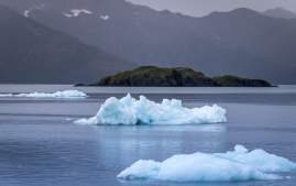 Seward-Fjords-74