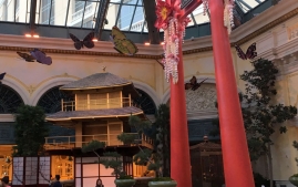 IMG_0522