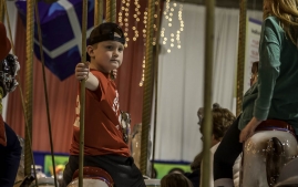 Maryland Festival of Tree-3