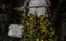 Maryland Festival of Tree-5