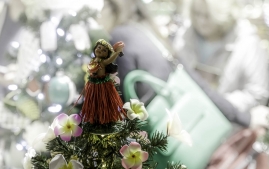 Maryland Festival of Tree