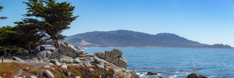 monterey_-5
