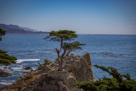 monterey_-8