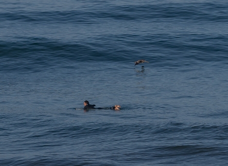 moonstone-beach-5