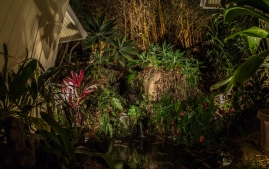 perseids-meteor-shower-8-13-2018-2