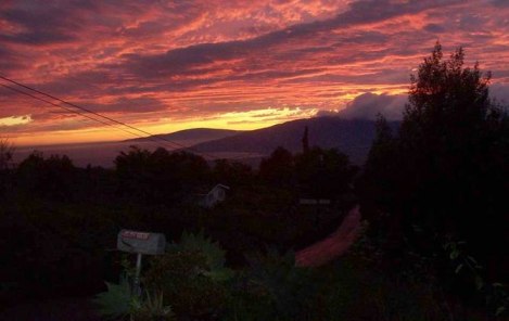 afterthestorm