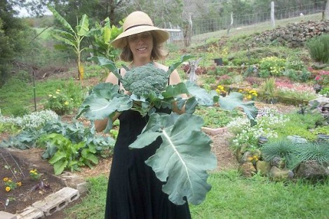 broc